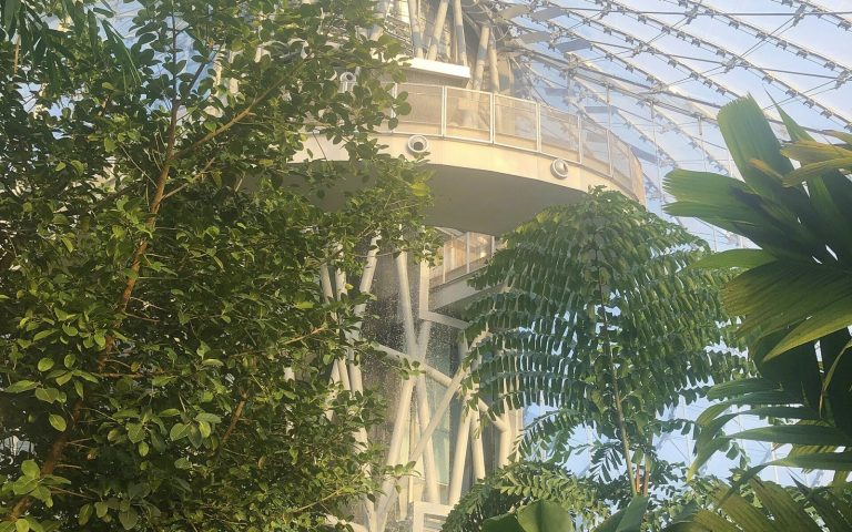 Plants and support structure inside The Leaf at Assiniboine Park